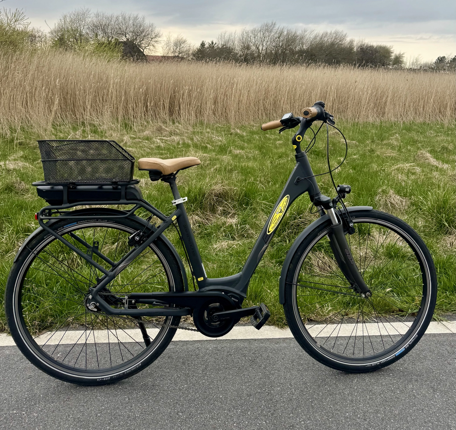 E-Bike mit Bosch-Motor und Gepäckkorb