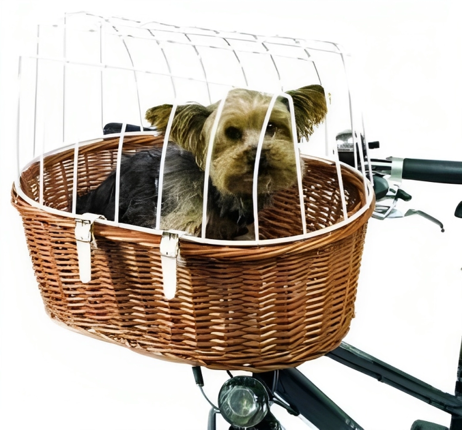 Weidenkorb mit Gitterhaube für Hunde am Fahrradlenker