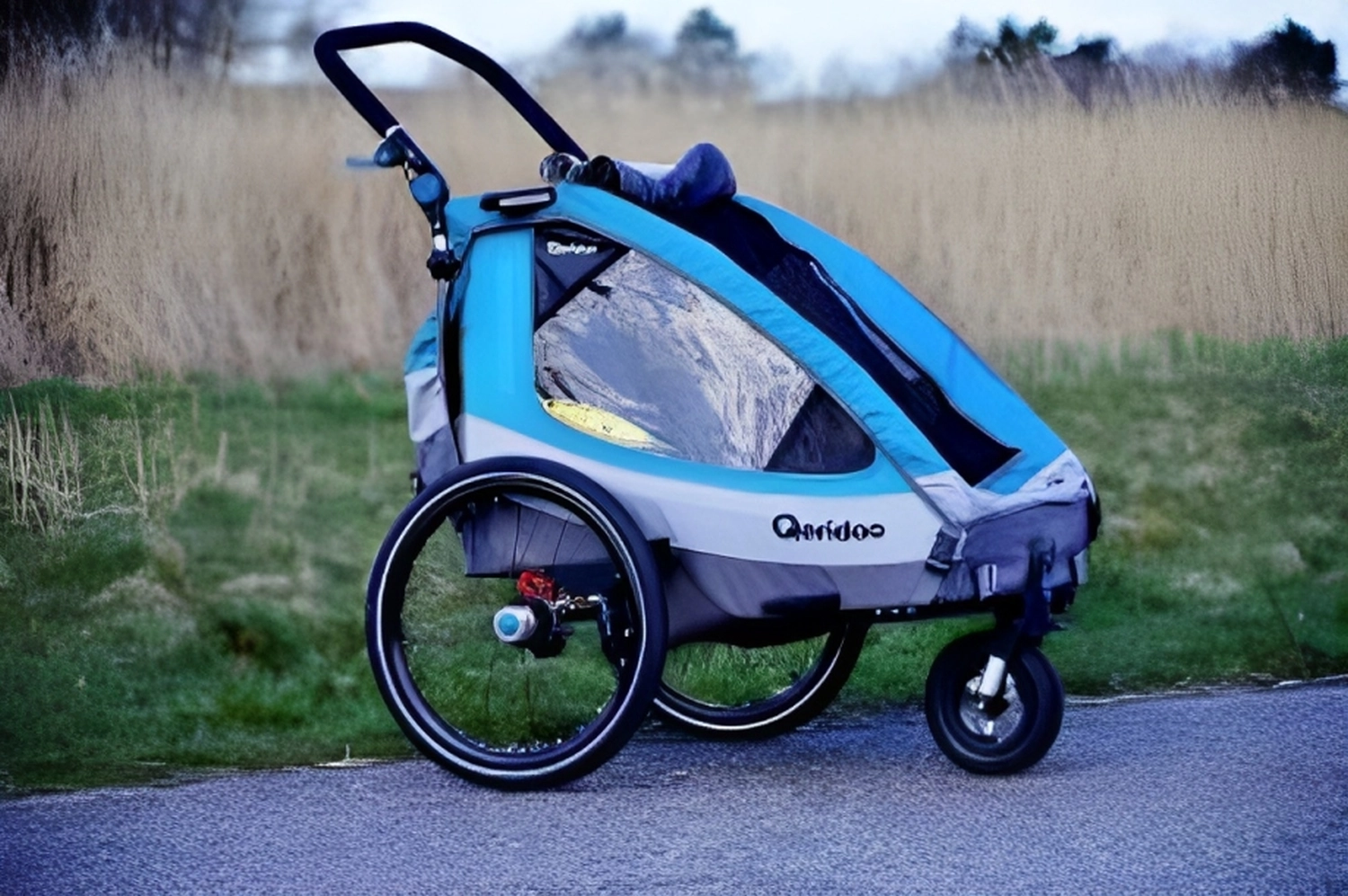 Kinderanhänger mit Buggyfunktion